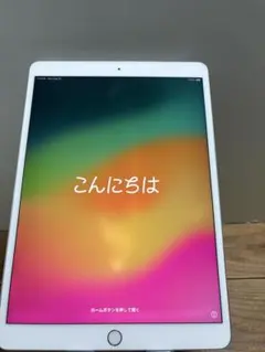 動作品SIMフリーiPad Pro9.7インチ本体32GBジャンク品ZGXQ0 - メルカリ