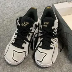 新品】ジョーダン テイタム 3 PF 