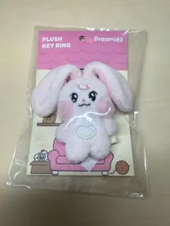 nctdream ジェノ ぬいぐるみ line friends dreamies - メルカリ