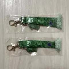 サンフレッチェ広島　ミニマフラーキーホルダーセット