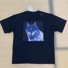 Item thumbnail for item e46bd0f3-af86-488f-b13c-c414413d3334