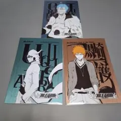 BLEACH 扉絵ポストカードコレクション3枚セット