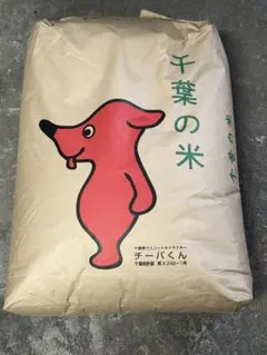 令和7年産　石川県産　 コシヒカリ約 20kg玄米(白米約18キロ) 令和7年産 石川県産 コシヒカリ約 20kg玄米(白米約18キロ) - メルカリ