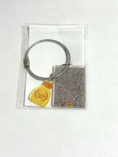 資生堂 アクリルキーホルダー 非売品　ディグる？　銀座ソニーパーク