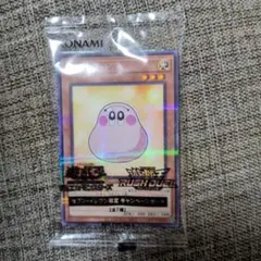 m34005997669_1.jpg?1769073570