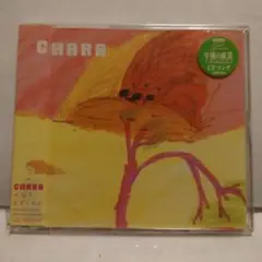 「CHARA/大切をきずくもの」 【新品】