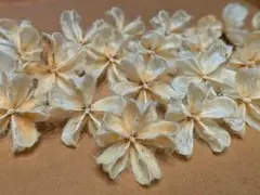 2026年最新】芙蓉の花殻の人気アイテム - メルカリ