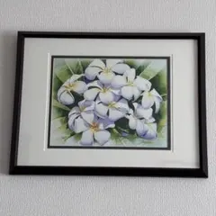 ☆美品☆【額装済み】GARRY PALM 絵画 プルメリア ハワイアン