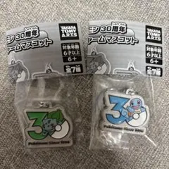 ポケモン 30周年 メタルチャームマスコット フシギダネ ゼニガメ