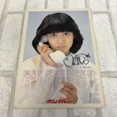 激レア　松本伊代　ボンカレーコラボ下敷き　大塚食品