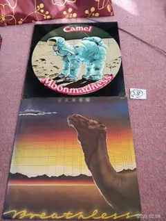 Item thumbnail for item 7fec424c-25a9-46fd-b5cf-a1ec3bc41556