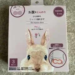 Item thumbnail for item 5b2f17e5-797e-4074-9734-50bfeaa72a19