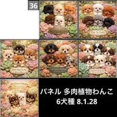 オーダーページ パネル 多肉植物わんこ 6犬種 8.1.28