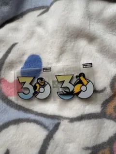 ポケモン 30周年記念 マグネット 2種セット カイデン タイカイデン