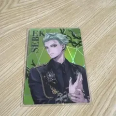 ツイステ オーロラカード ブレイジングジュエル セベク