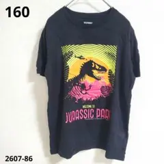 OLD NAVY【160】 恐竜柄 Tシャツ 半袖 黒 綿 普段着のサムネイル