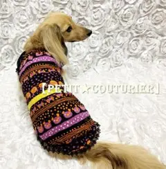 No.3972　ハロウィンカラーのバルーンワンピース　ブラック　＜ダックス用＞