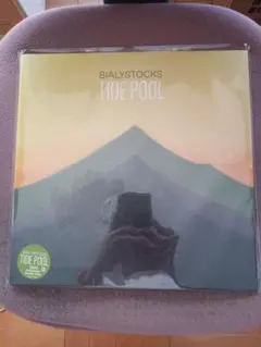 Bialystocks Tide Pool アナログ盤 ビアリストックス - メルカリ