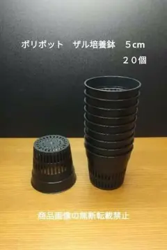 ザル培養　スリット鉢　ポリポット　５ｃｍ　１０個　多肉　盆栽　ザル　小苗セットのサムネイル