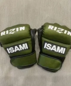 Item thumbnail for item 477348e4-2cde-450e-ab4e-a6f56fa8e348