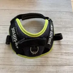 Item thumbnail for item 1c9b725f-22b5-4d4d-ad5e-0fbf43aadff5