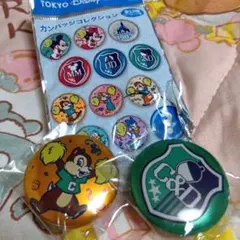 東京ディズニーリゾート　カンバッジコレクション　チア　チップ