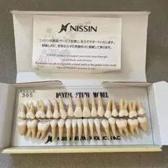 【新品未使用】ニッシン デンタルモデル NISSIN デンタルモデル 歯科 ニッシン 歯科技工 義歯 模型 無歯
