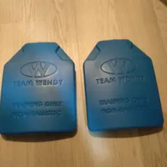 2026年最新】TeAM wendy プレートの人気アイテム - メルカリ