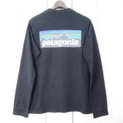 ★パタゴニア Responsibili-tee P-6ロングスリーブTシャツ Sのサムネイル