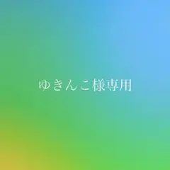 ゆきんこ様専用