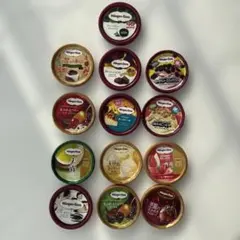 ハーゲンダッツ 蓋　13個セットのサムネイル