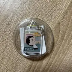 SEVENTEEN パズチ ウジ 当たり アクキー