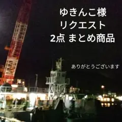ゆきんこ様 リクエスト 2点 まとめ商品