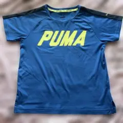 Item thumbnail for item 91346508-753d-4e4f-a794-6aec63bd1139