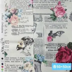 YUWA 有輪商店 Micci Collection
