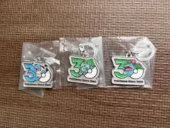 ポケモン 30周年 メタルチャームコレクション 3個セット