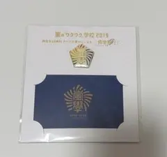 嵐　ワクワク学校　修学旅行　ピンズ