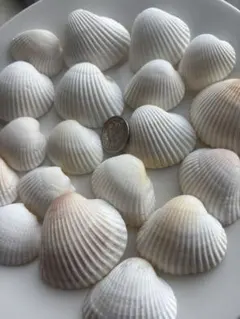 Item thumbnail for item c850768f-ad9c-43ef-9c1a-7719abf10efb