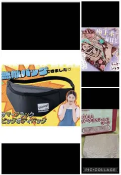 新品未使用Shining! ブラックウエストポーチ他2点付録まとめ売り