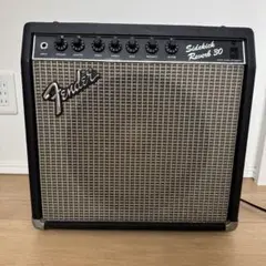 2026年最新】sidekick fender 30の人気アイテム - メルカリ