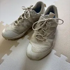 Item thumbnail for item 940de832-9f43-487a-b3a6-3cb149da0fcb