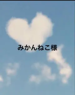 みかんねこ様 リクエスト 2点 まとめ商品