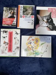 イラストでみる犬の病気・イラストでみる猫の病気（2冊セット） 31iktkj9JlL._AC_UL210_SR210,