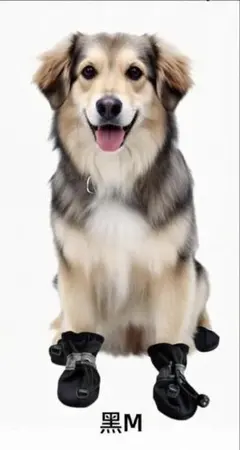 Item thumbnail for item 371fc087-507b-494f-b886-eb6b3fab4549