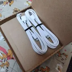 Item thumbnail for item fb4557d5-fa89-46f4-a9ee-6fd3d31945a3