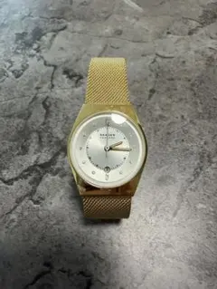SKAGEN GRENEN LILLE 腕時計のサムネイル
