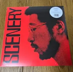 2026年最新】福居良 LP sceneryの人気アイテム - メルカリ