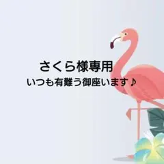 さくら様専用