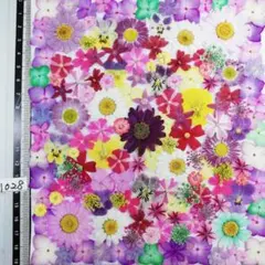 押し花素材　N1028 ノースボール ビオラ 紫陽花　バーベナ 小花　押し花