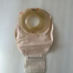 Item thumbnail for item eae6be62-fe15-4df7-b666-170a1ebbcaee